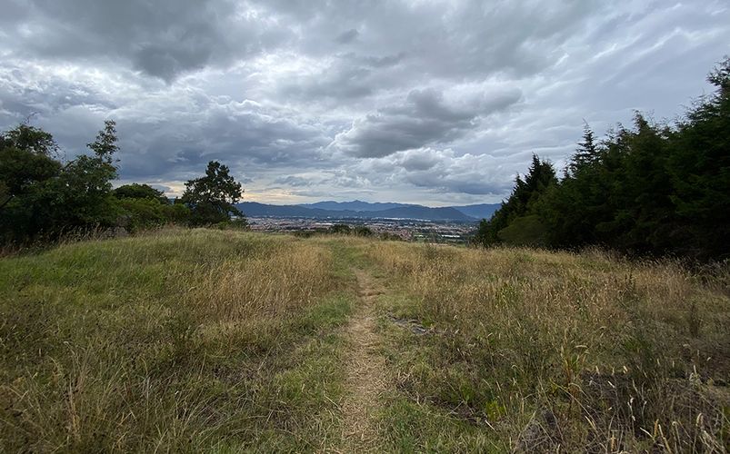 Lote en venta en Yerbabuena, Chía, 18564 m² · foto 5 de 23