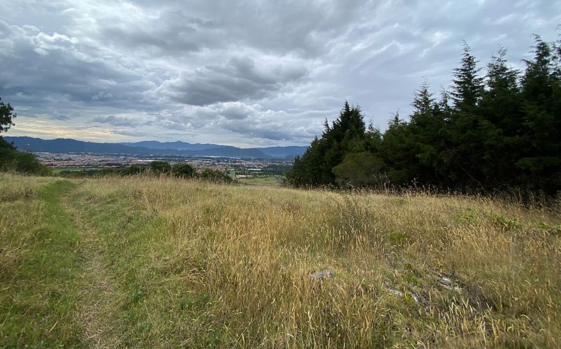Lote en venta en Yerbabuena, Chía, 18564 m² · foto 6 de 23