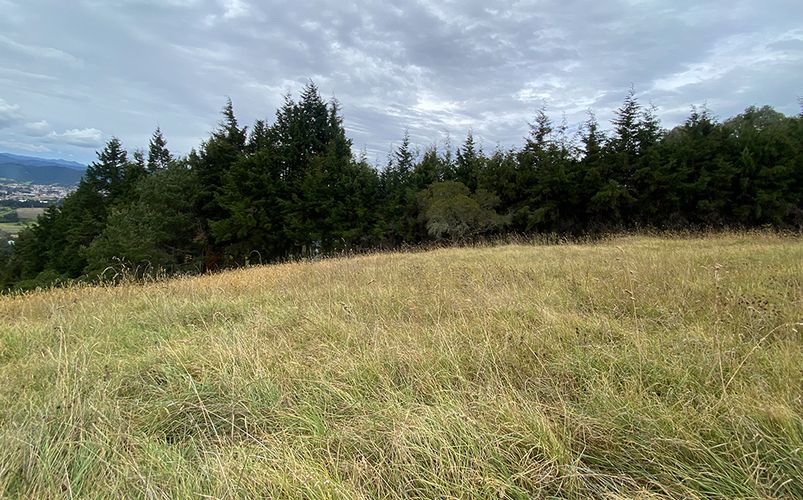 Lote en venta en Yerbabuena, Chía, 18564 m² · foto 8 de 23