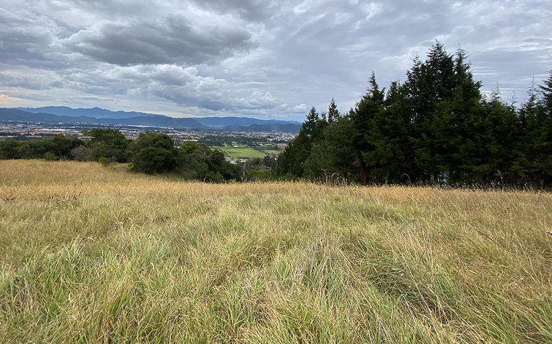 Lote en venta en Yerbabuena, Chía, 18564 m² · foto 9 de 23