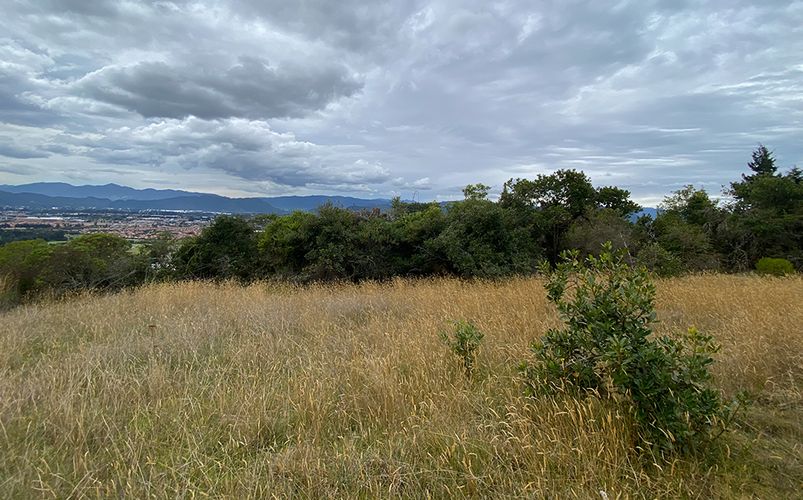 Lote en venta en Yerbabuena, Chía, 18564 m² · foto 10 de 23