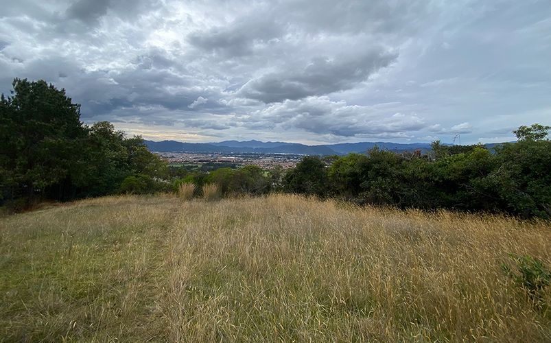 Lote en venta en Yerbabuena, Chía, 18564 m² · foto 11 de 23
