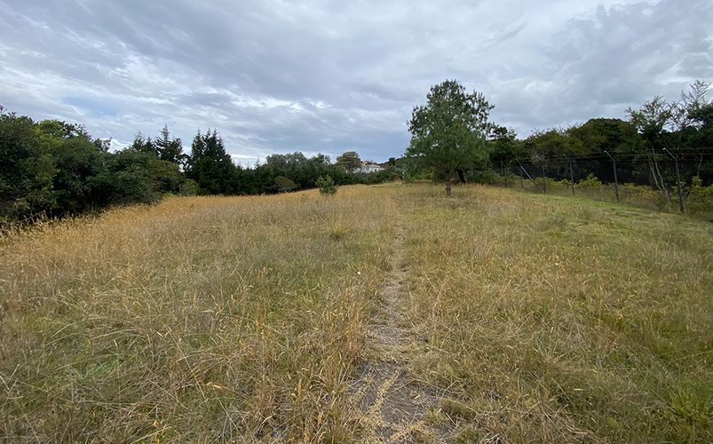 Lote en venta en Yerbabuena, Chía, 18564 m² · foto 13 de 23