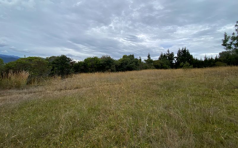 Lote en venta en Yerbabuena, Chía, 18564 m² · foto 14 de 23