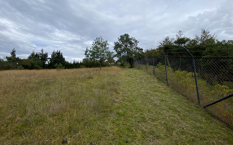 Lote en venta en Yerbabuena, Chía, 18564 m² · foto 15 de 23