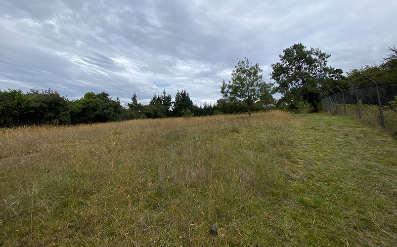 Lote en venta en Yerbabuena, Chía, 18564 m² · foto 16 de 23