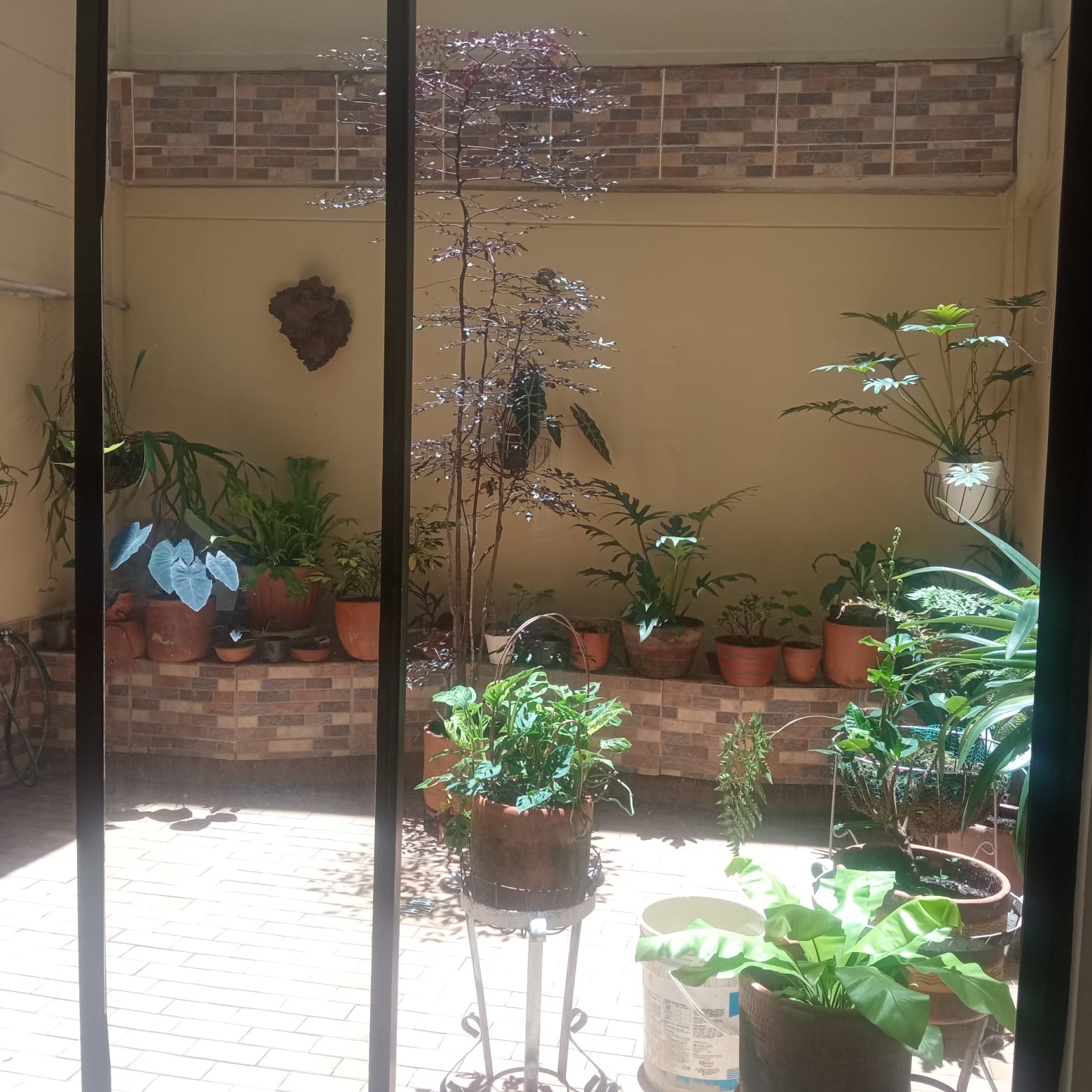 Apartamento en arriendo en Laureles, Medellín · foto 22 de 24
