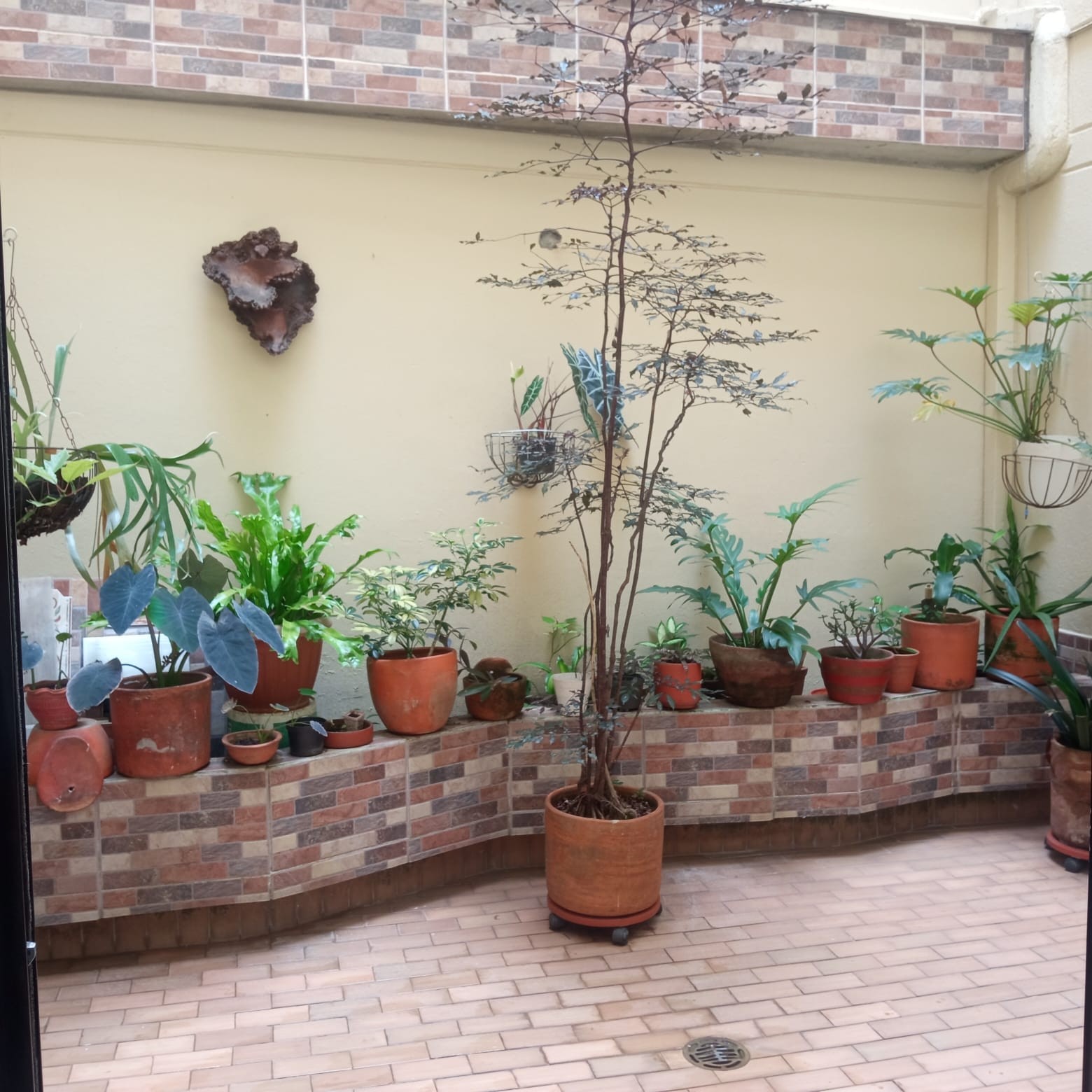 Apartamento en arriendo en Laureles, Medellín · foto 23 de 24
