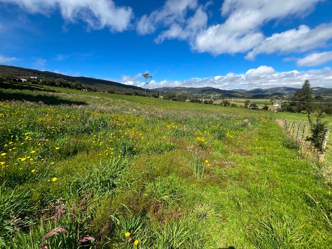 Lote en venta en Frailejonal, La Calera, 20633 m² · foto 3 de 7