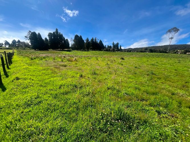 Lote en venta en Frailejonal, La Calera, 20633 m² · foto 4 de 7