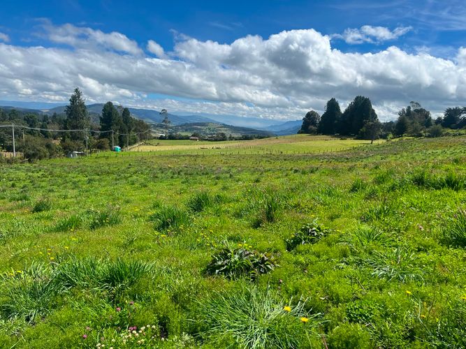 Lote en venta en Frailejonal, La Calera, 20633 m² · foto 5 de 7