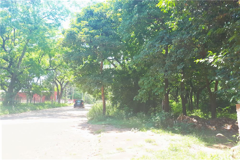 Terreno-Venta-Tte Marecos c/Cap Fidel Maiz, María Auxiliadora, Mariano Roque Alonso, Central — foto 2