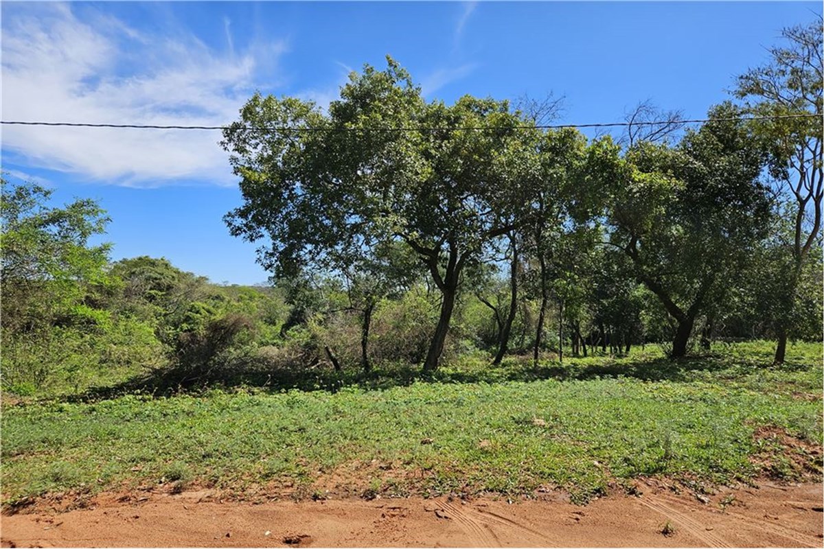 Terreno-Venta-Avda. tsunesaburo Makiguchi, Itapuamí II, Luque, Central — foto 3