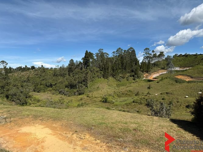 Lote en venta en Mampuesto, Rionegro, 2128 m² · foto 16 de 24