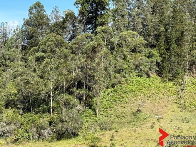 Lote en venta en Mampuesto, Rionegro, 2128 m² · foto 19 de 24