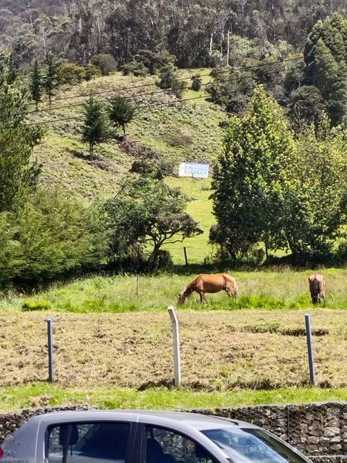 Lote en venta en El Salitre, La Calera, 26600 m² · foto 4 de 8