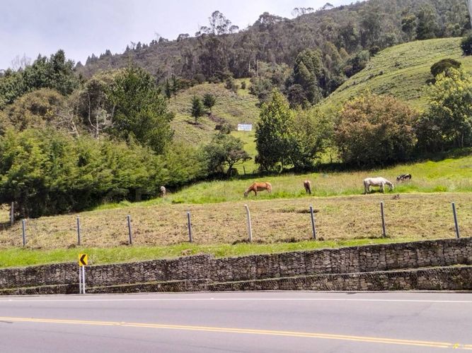 Lote en venta en El Salitre, La Calera, 26600 m² · foto 5 de 8