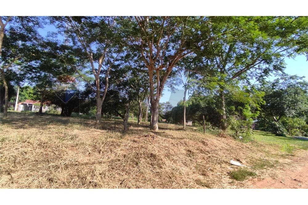 AMPLIO TERRENO DE 2.814 M2 EN MARAMBURÉ - LUQUE EN VENTA — foto 3
