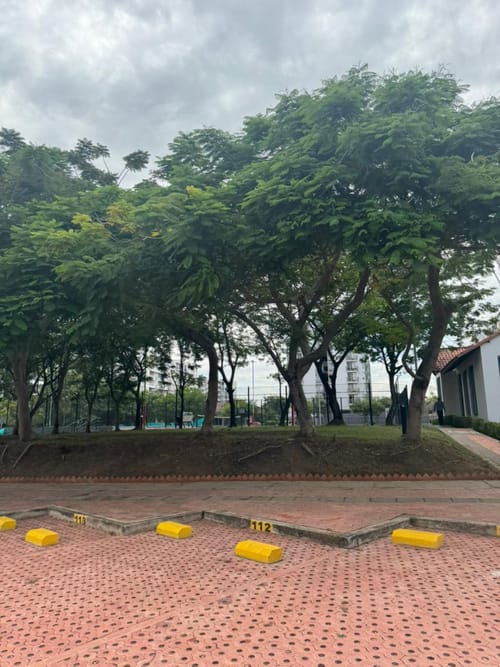 Apartamento de 3 alcobas en venta en Ricaurte, Ricaurte, 65 m² · foto 17 de 23
