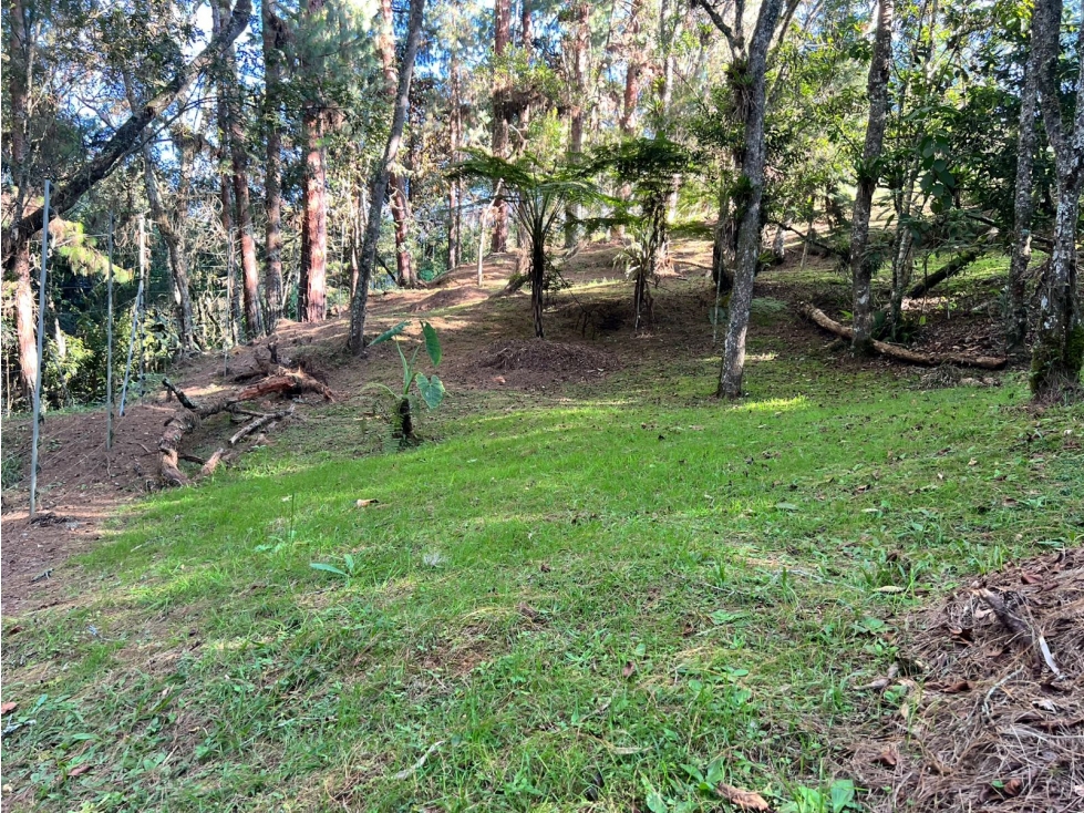 Land in Yarumal (2496 m²) for Sale - 4