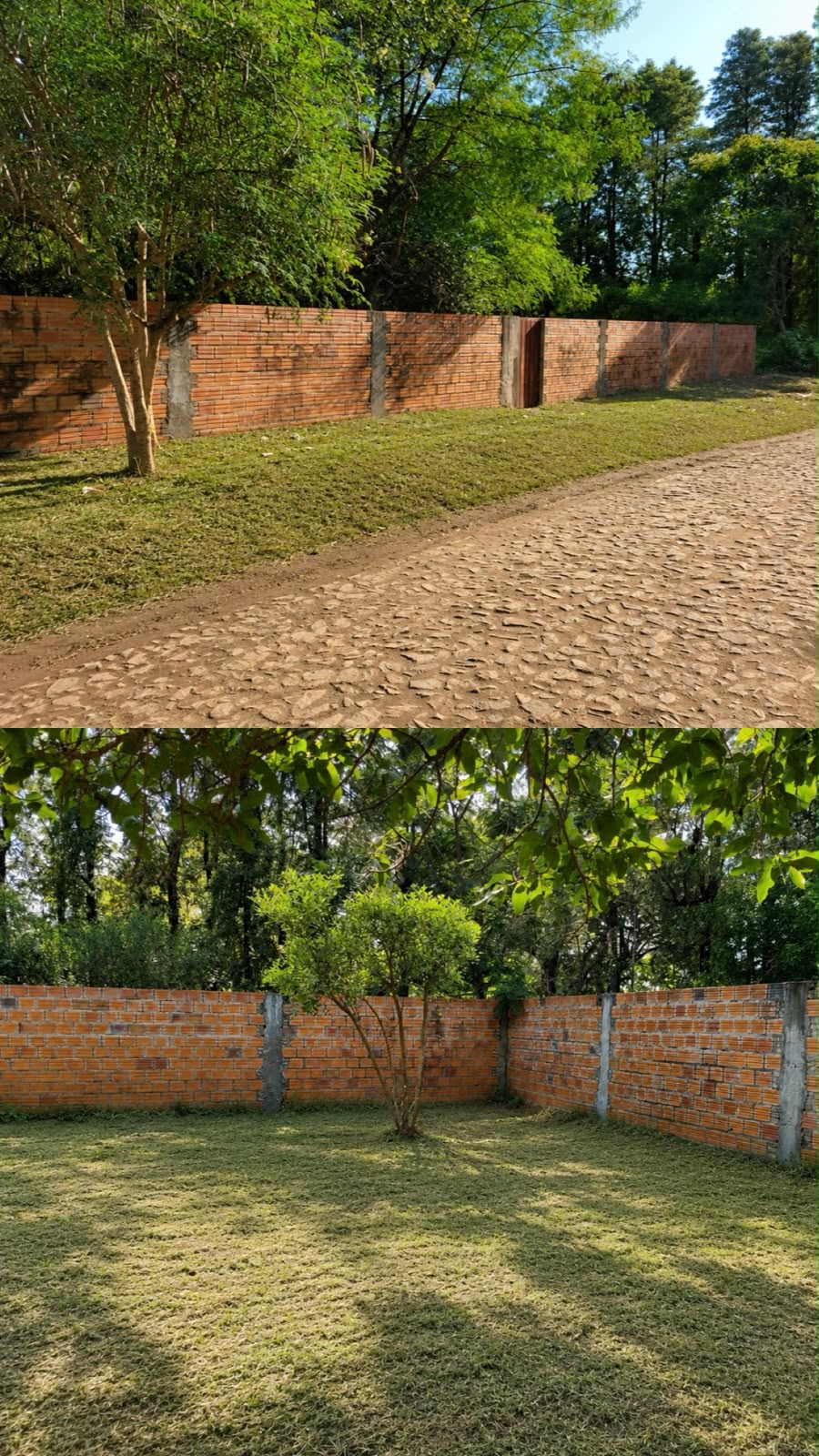 VENDO AMPLIO TERRENO AMURALLADO EN CAMPO GRANDE LUQUE — foto 2