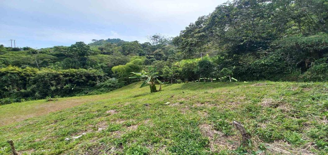 Lote en venta en Combia, Pereira · foto 2 de 15