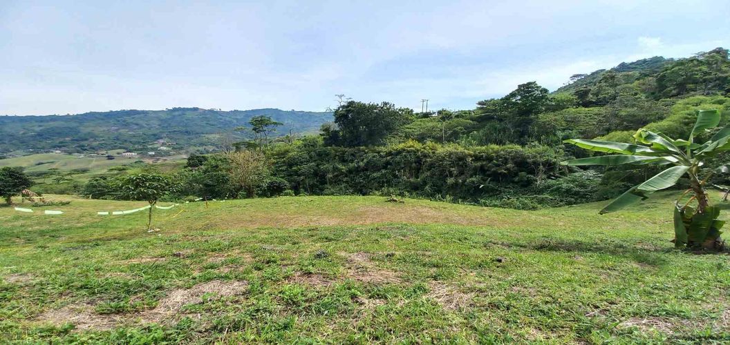 Lote en venta en Combia, Pereira · foto 3 de 15