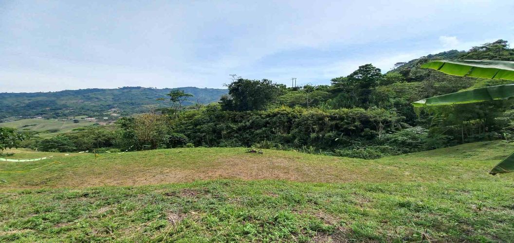 Lote en venta en Combia, Pereira · foto 4 de 15