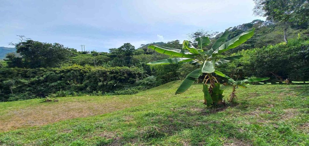 Lote en venta en Combia, Pereira · foto 5 de 15