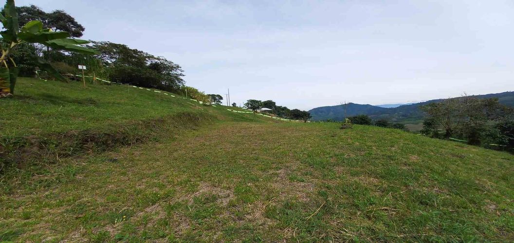 Lote en venta en Combia, Pereira · foto 8 de 15