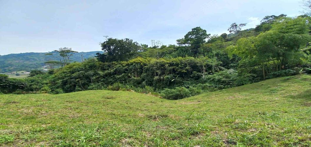 Lote en venta en Combia, Pereira · foto 9 de 15