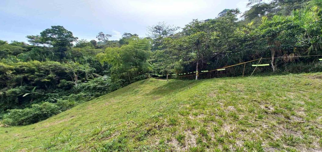 Lote en venta en Combia, Pereira · foto 10 de 15