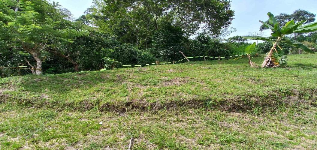 Lote en venta en Combia, Pereira · foto 11 de 15