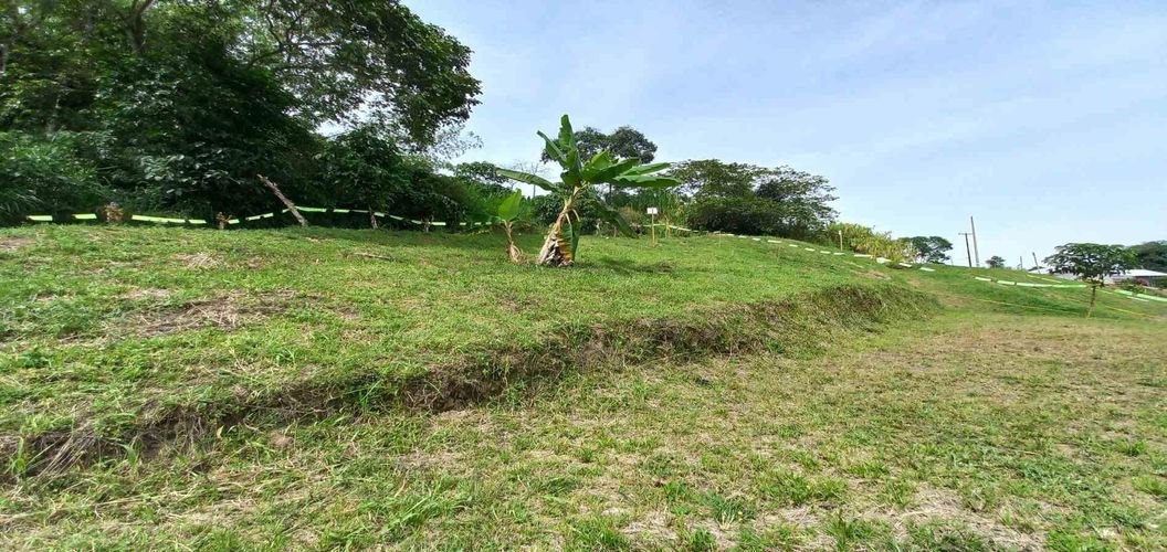 Lote en venta en Combia, Pereira · foto 12 de 15