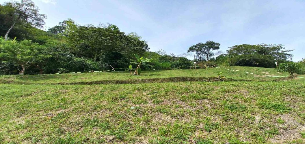Lote en venta en Combia, Pereira · foto 13 de 15