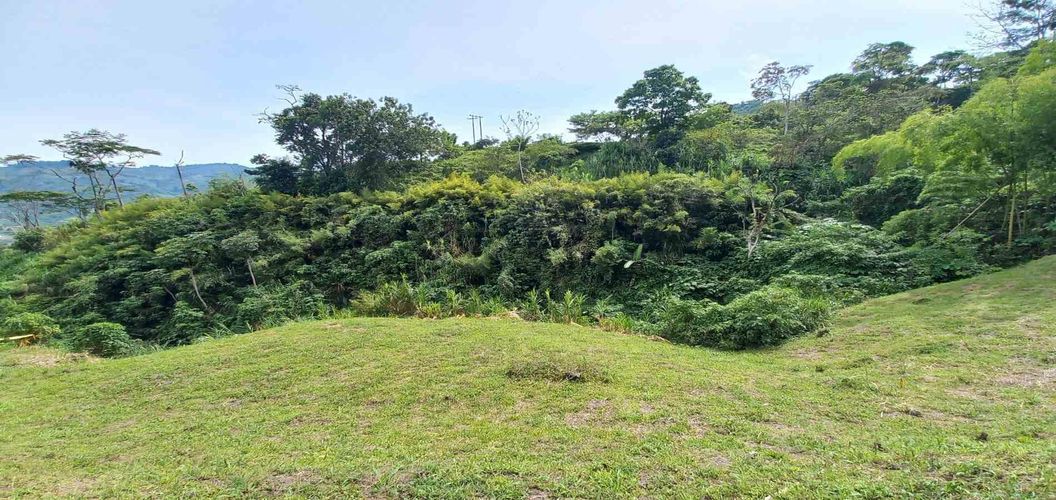 Lote en venta en Combia, Pereira · foto 14 de 15