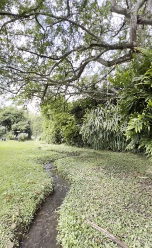 Casa de 5 alcobas en venta en Pance, Cali, 1000 m² · foto 3 de 24
