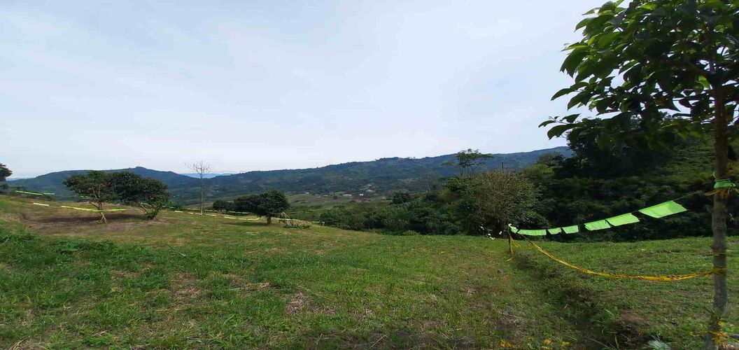 Lote en venta en Combia, Pereira · foto 3 de 19