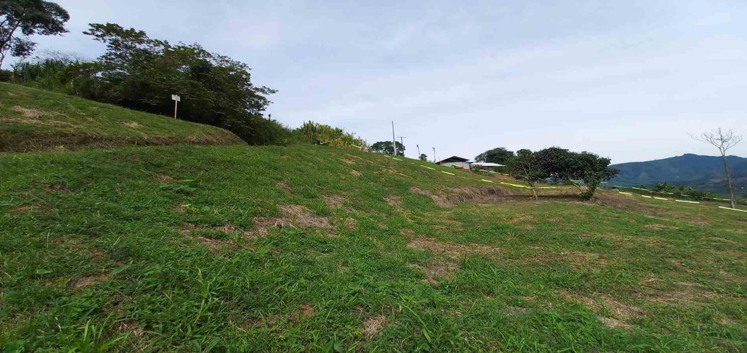 Lote en venta en Combia, Pereira · foto 4 de 19