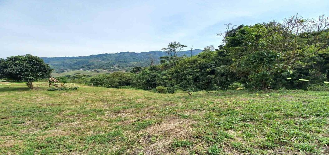Lote en venta en Combia, Pereira · foto 6 de 19