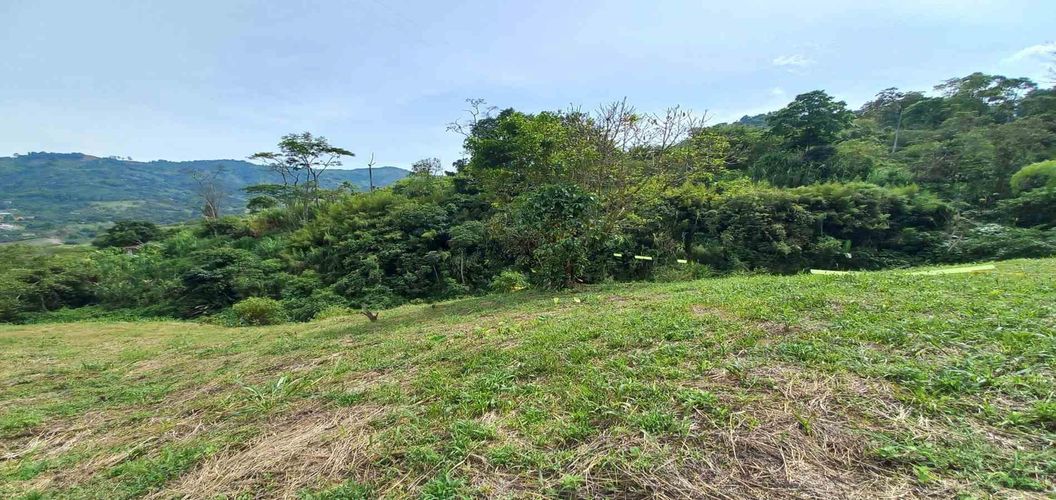 Lote en venta en Combia, Pereira · foto 7 de 19