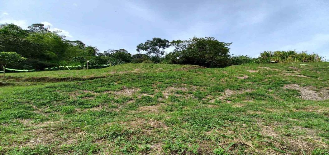 Lote en venta en Combia, Pereira · foto 9 de 19