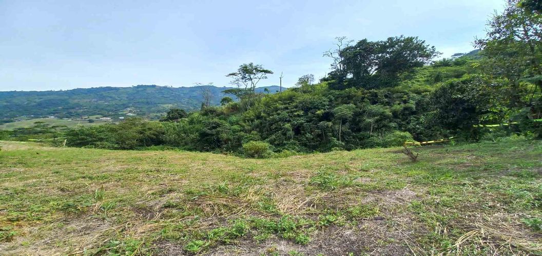 Lote en venta en Combia, Pereira · foto 10 de 19