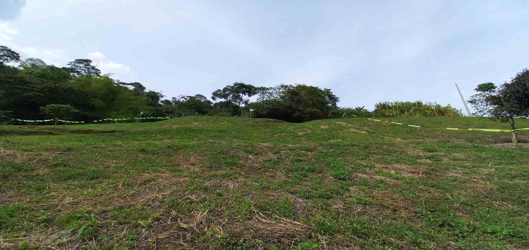 Lote en venta en Combia, Pereira · foto 11 de 19