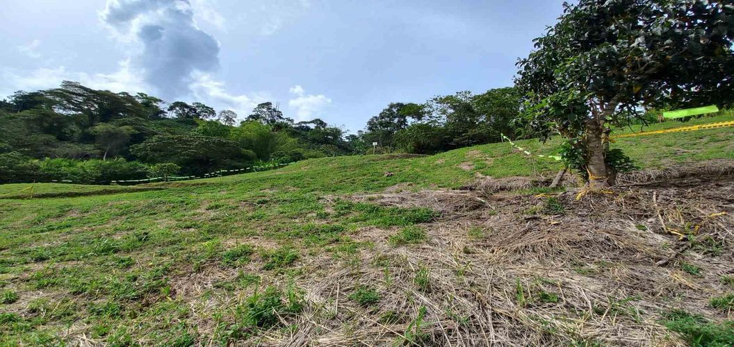 Lote en venta en Combia, Pereira · foto 12 de 19