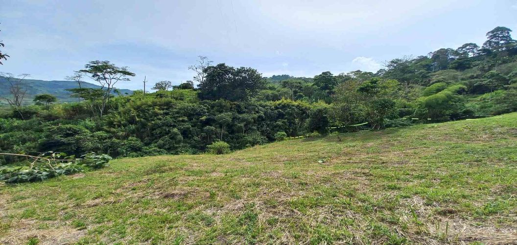 Lote en venta en Combia, Pereira · foto 13 de 19