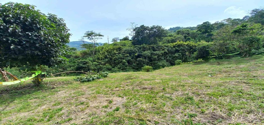 Lote en venta en Combia, Pereira · foto 14 de 19