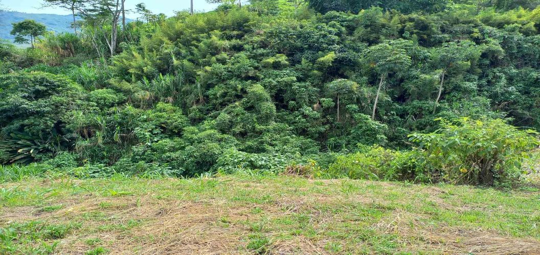 Lote en venta en Combia, Pereira · foto 15 de 19