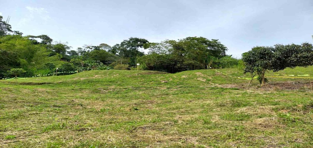 Lote en venta en Combia, Pereira · foto 16 de 19