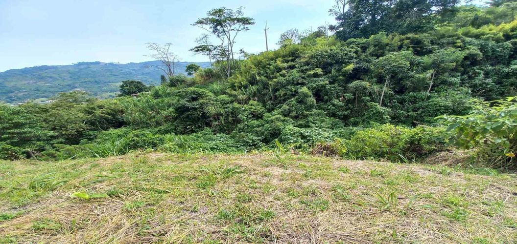 Lote en venta en Combia, Pereira · foto 18 de 19